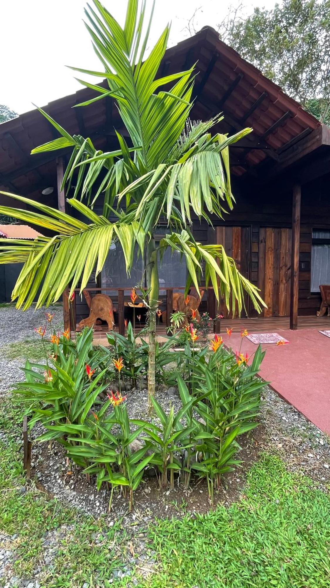 La Fortuna Waterfall Bungalows المظهر الخارجي الصورة